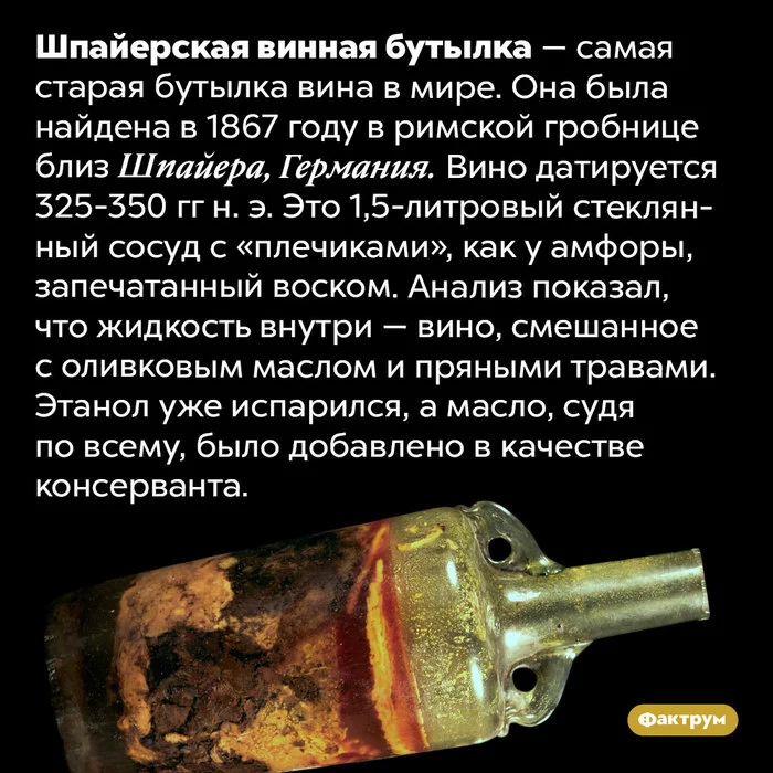 How old is the oldest bottle of wine, what is muzele and other interesting facts about wine - Factrum, Informative, A selection, Facts, Wine, Longpost