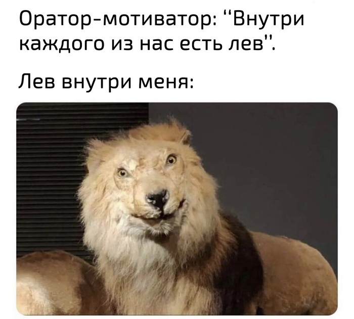 Лев