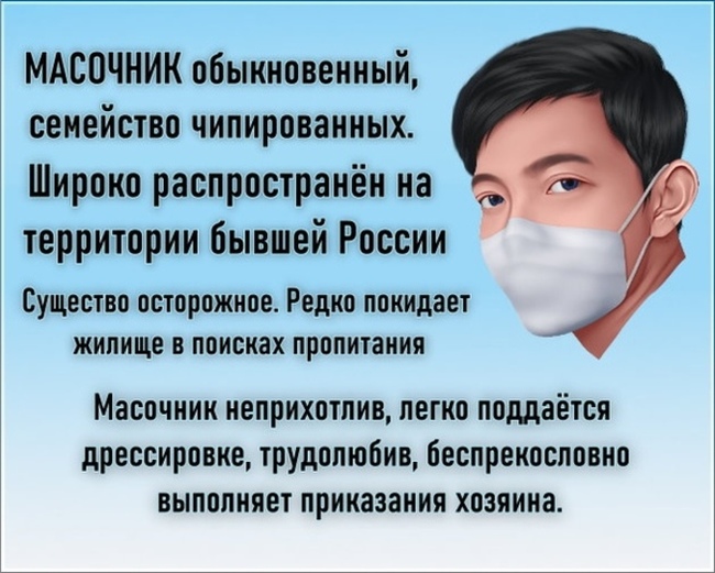 Why do slaves need the gifts of freedom? - My, Coronavirus, Mask, Politics, Vaccination, Pandemic, Vaccine, Russia, QR Code, Virus, Anti-vaccines, Epidemic, Media and press, Doctors, Protest, Society, State Duma, Video, Longpost