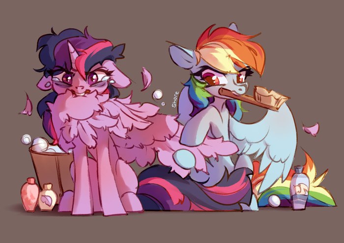    My Little Pony, Twilight Sparkle, Rainbow Dash, Shore2020