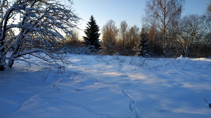 He retired and moved to the village for permanent residence - My, Village, Repeat, House, Winter, Longpost