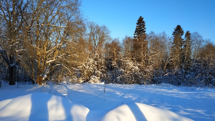 He retired and moved to the village for permanent residence - My, Village, Repeat, House, Winter, Longpost