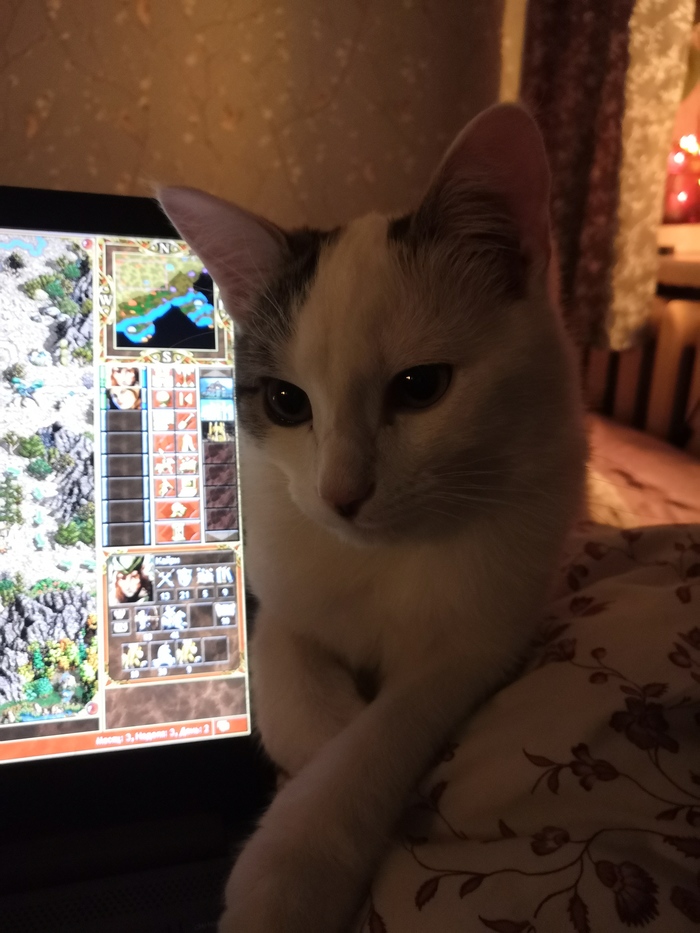 Составляющие уюта