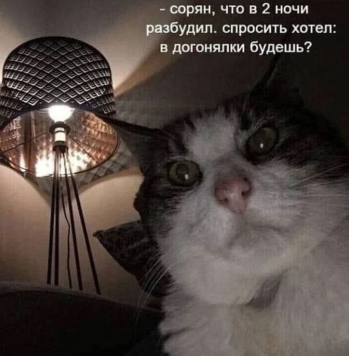 ? , 