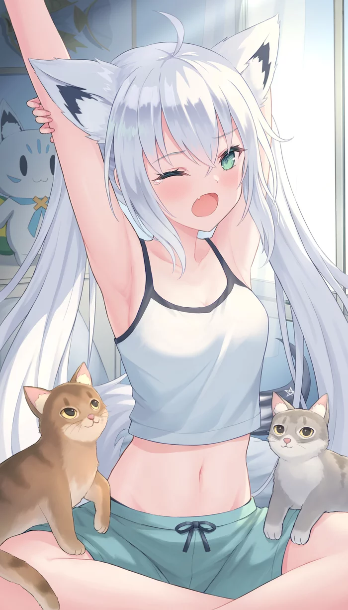 Shirakami fubuki - Anime, Anime art, Hololive, Shirakami fubuki, Virtual youtuber, Animal ears, cat