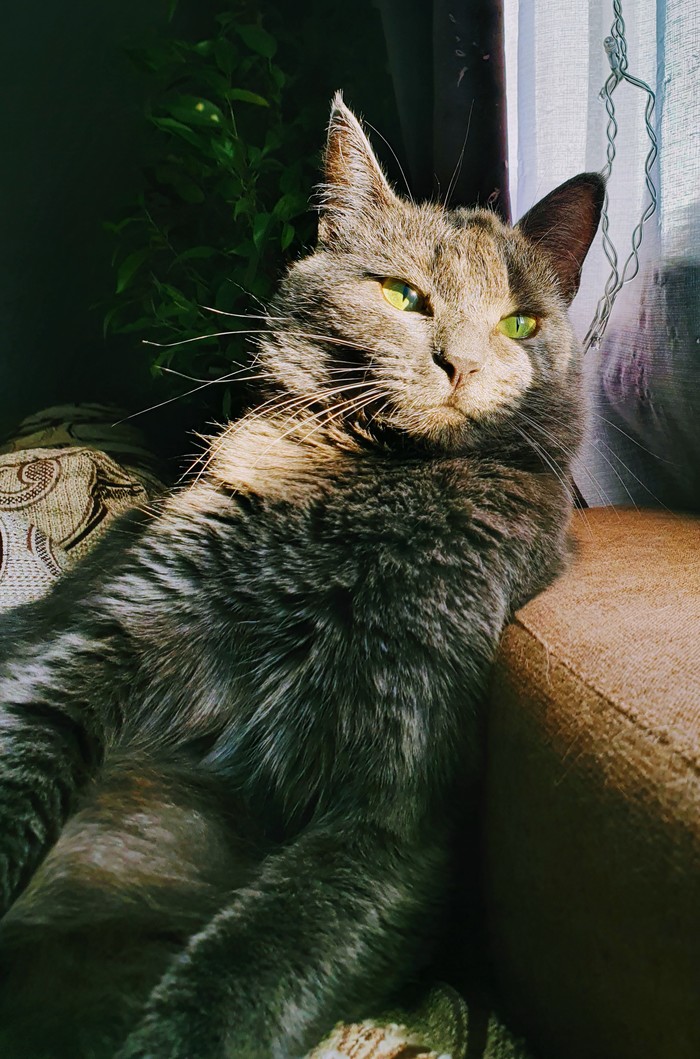 ������������ �����