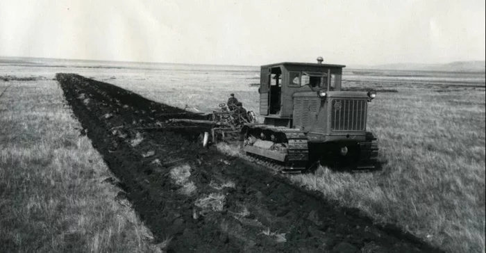 Remember the famous development of virgin land under Khrushchev? Do you know where the capital of this virgin land was? - the USSR, Raised virgin land, Сельское хозяйство, Kazakhstan, Virgin soil, Yandex Zen, Longpost