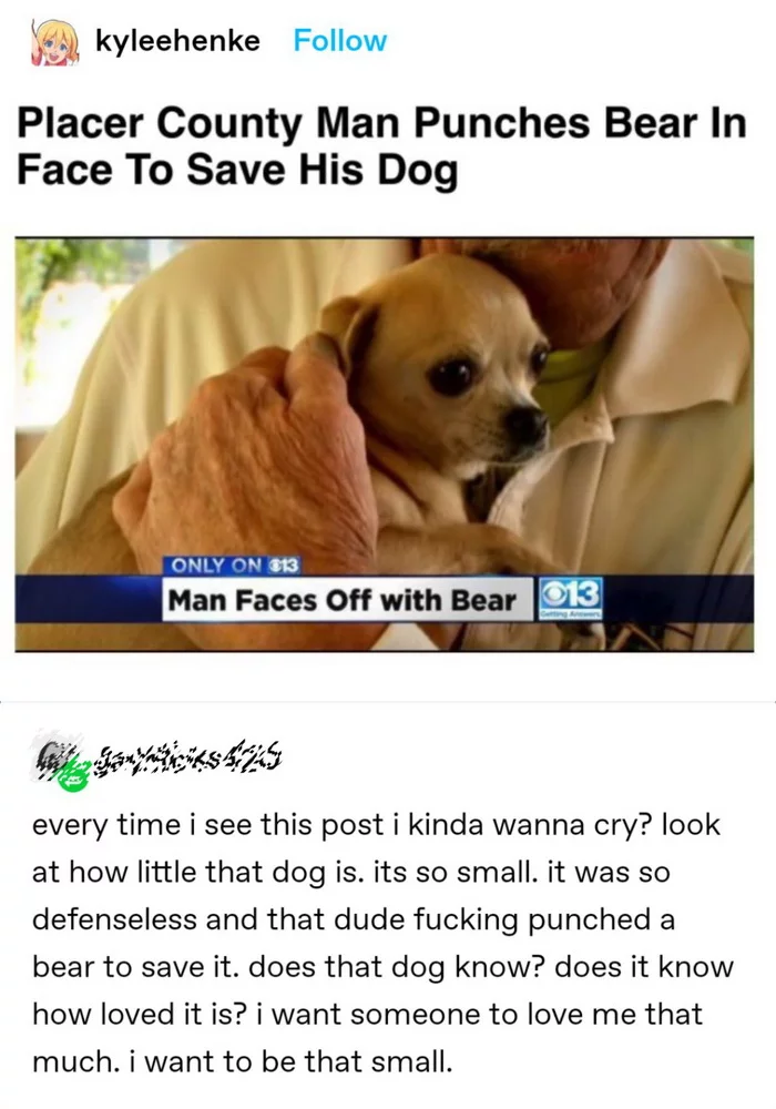 And there's nothing to off the 73-year-old former Marine. - Dog, The size, Chihuahua, USA, Screenshot, Comments, The Bears