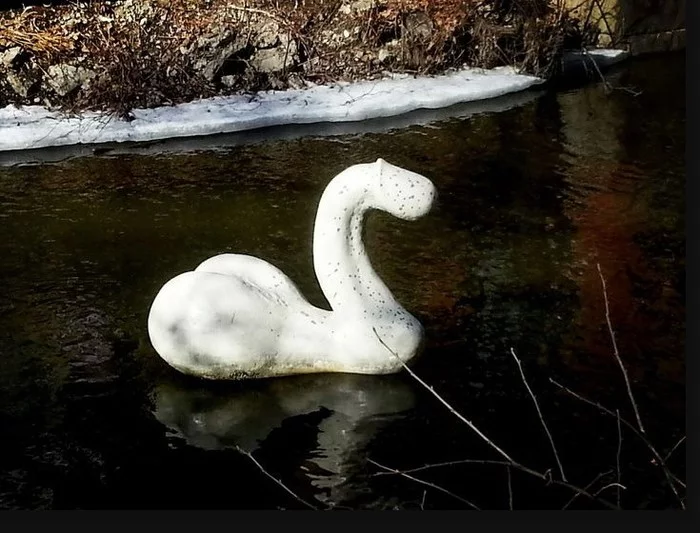Swan - Strange humor, Images