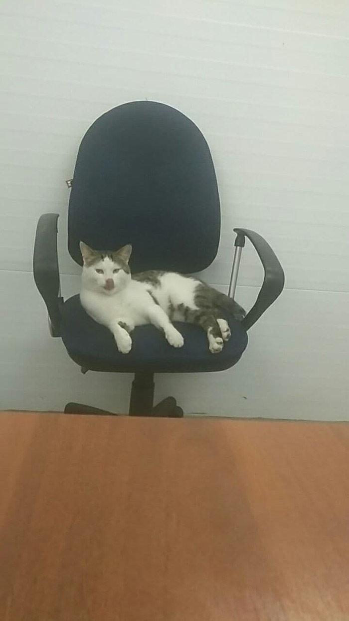    &quot;&quot;         ,       