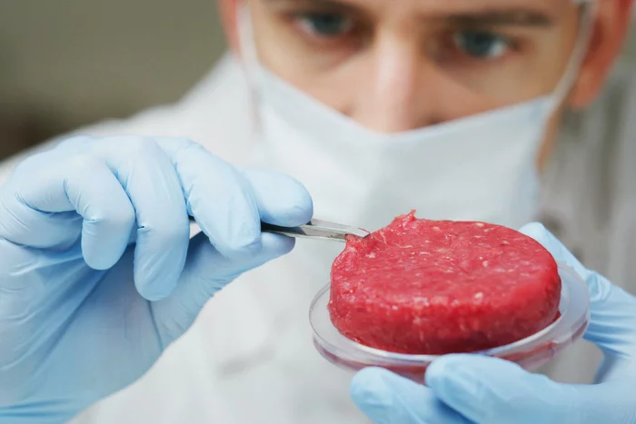 Both vegetarians and meat eaters refuse from test tube meat - University of California, The science, Nutrition, Artificial meat, Research, Longpost