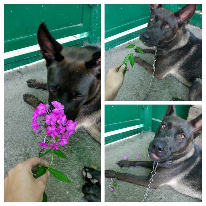 Ответ на пост "Это мне? Так мило"