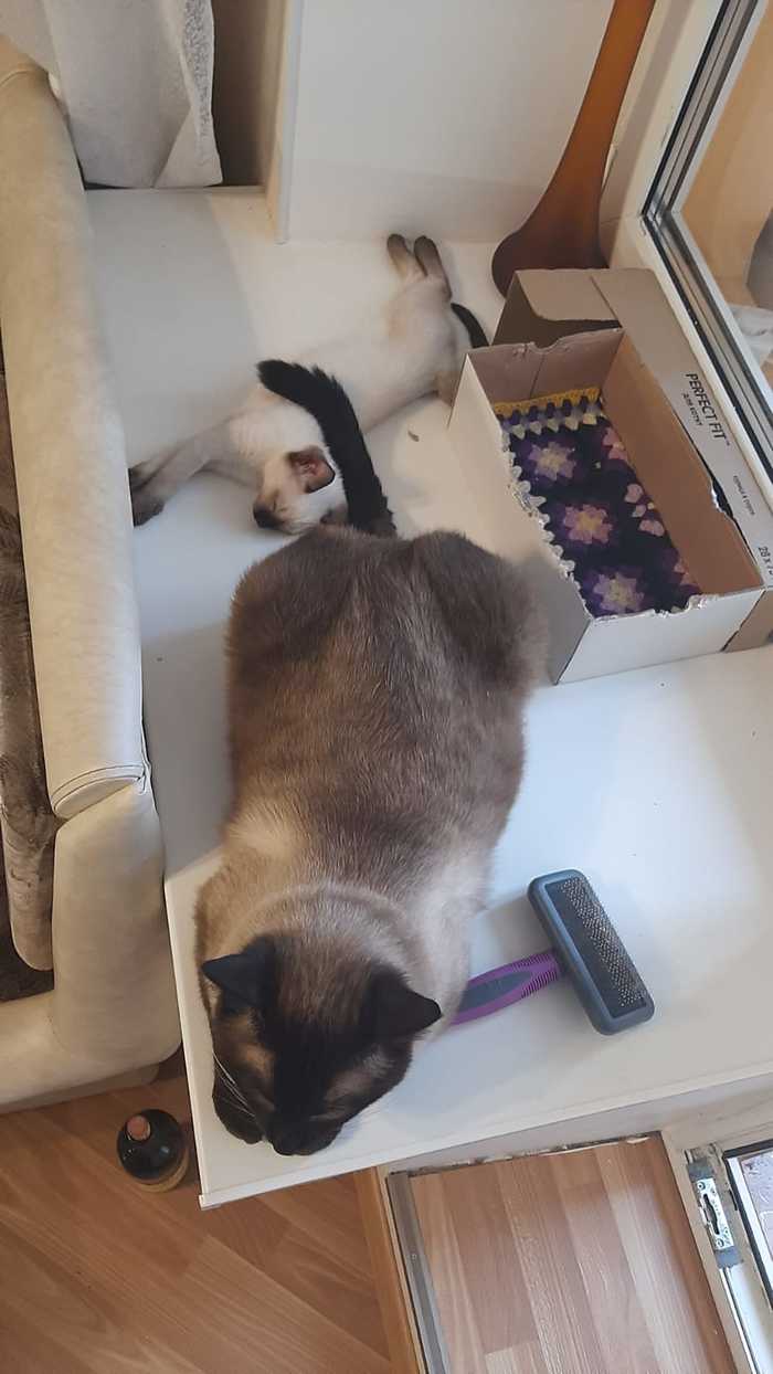    Ctrl+C, Ctrl+V,   :)