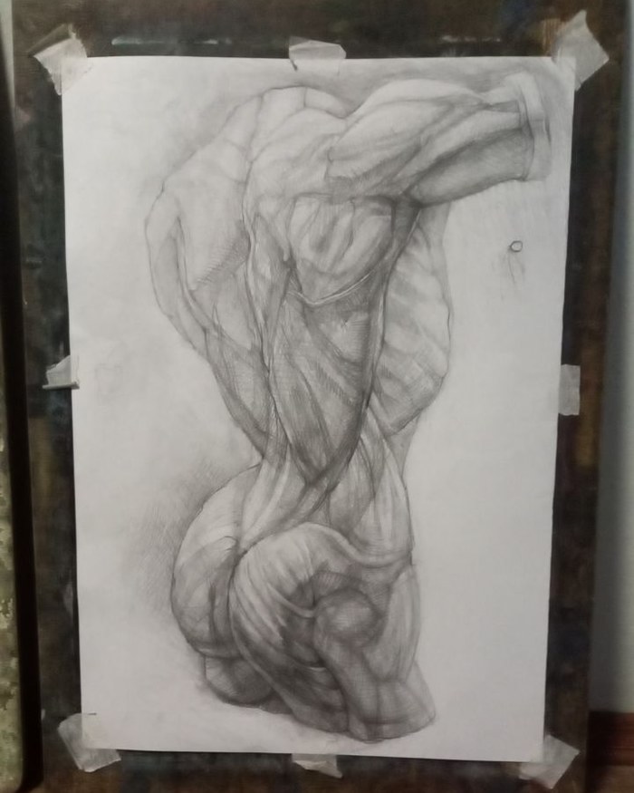 Академический рисунок торса
