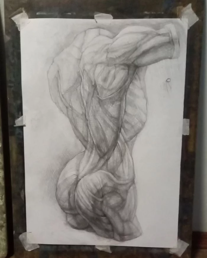 Academic torso drawing - My, Drawing, Pencil drawing, Academic Drawing, Creation, Graphics