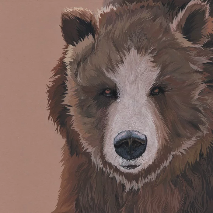 Bear - My, Art, The Bears