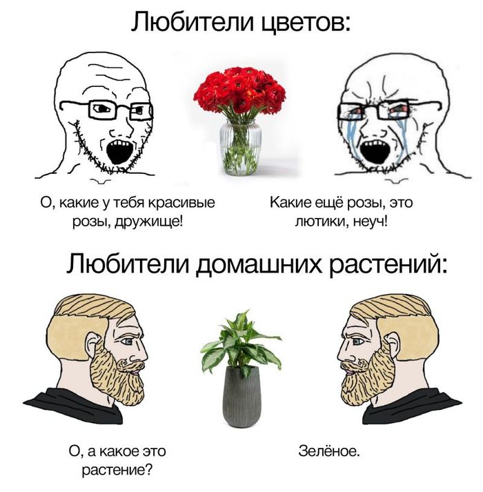 ������ ������ � ��������