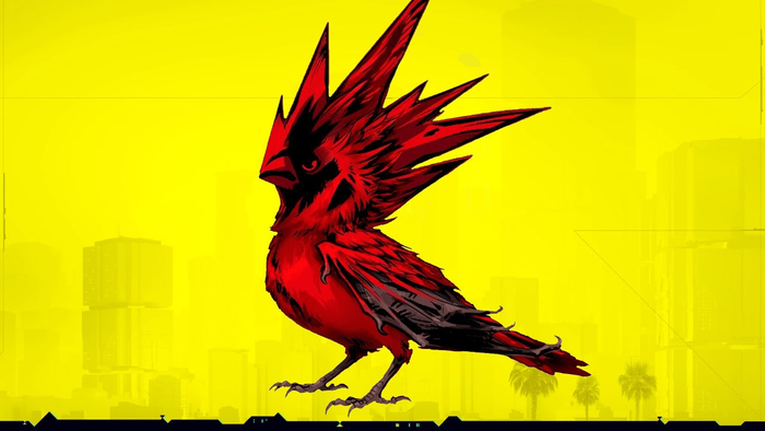 CD Projekt призвала не покупать её акции без должной подготовки и внимательности