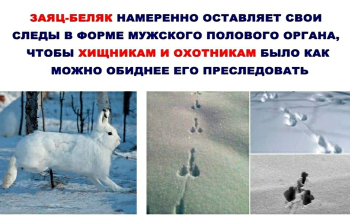 �� �� � ����� �����...