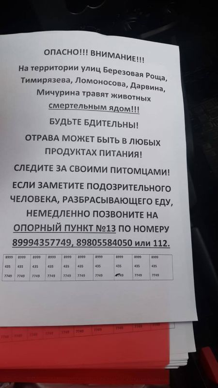 Догхантеры разбросали отраву в Воронеже — погибли 10 собак - Воронеж, Догхантеры, Без рейтинга