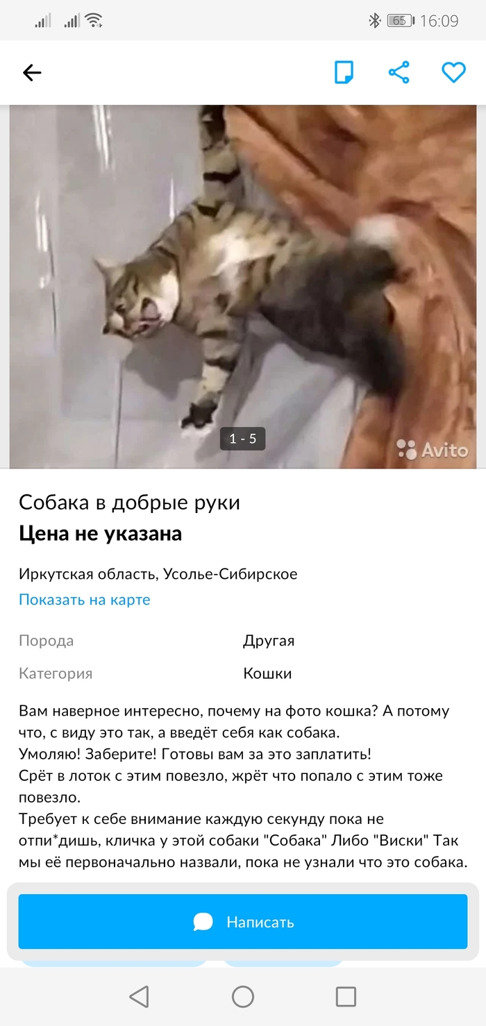     ))