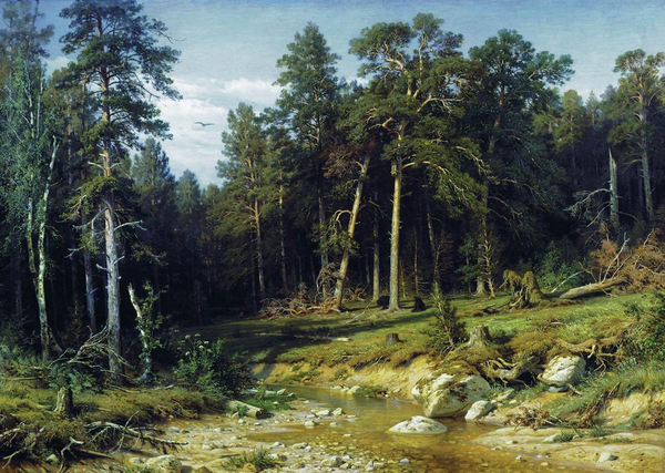 Christmas trees are sticks, it's Shishkin! - Ivan Shishkin, Russian painting, Milota, Longpost