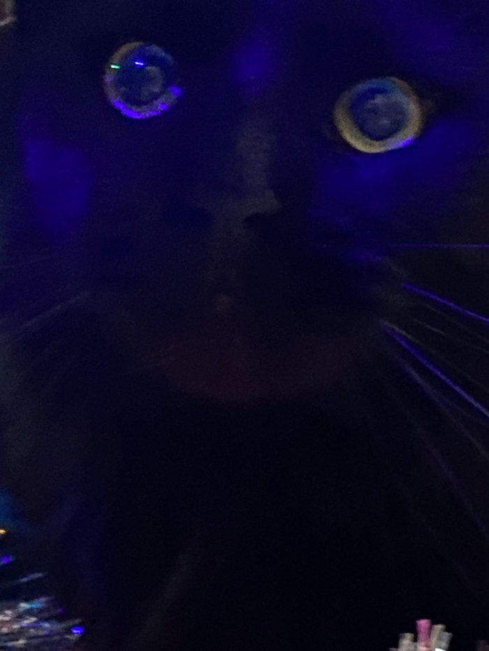    , -, ,  