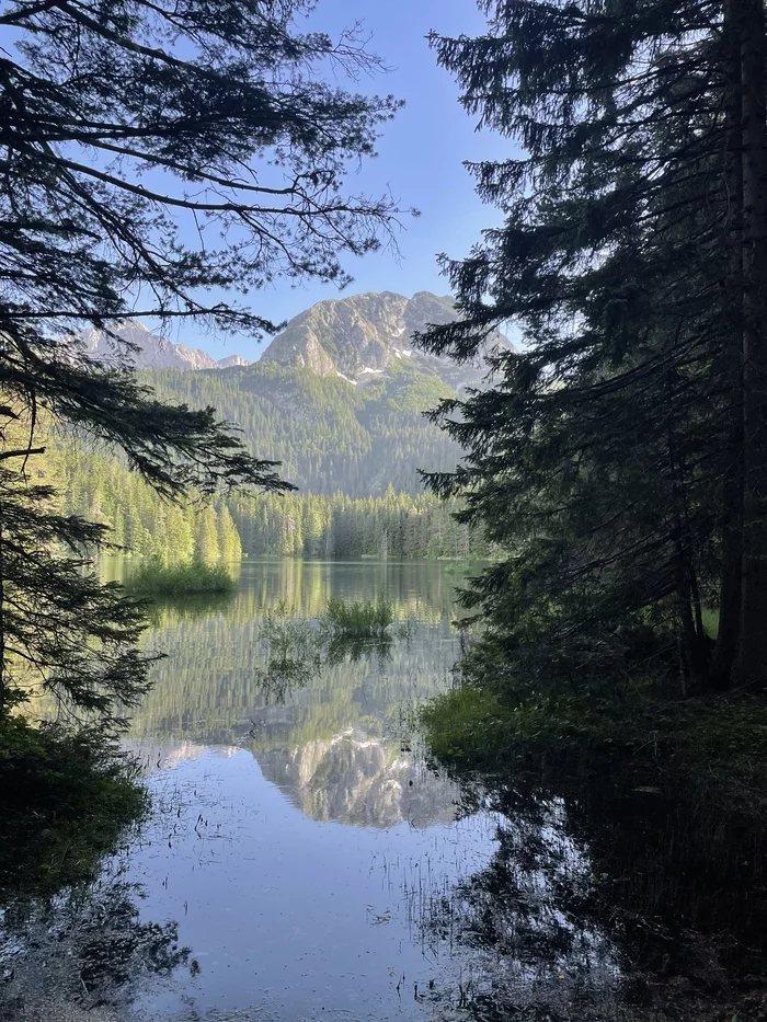 Durmitor, Montenegro - My, Montenegro, Durmitor, The mountains, Forest, Travels, Longpost