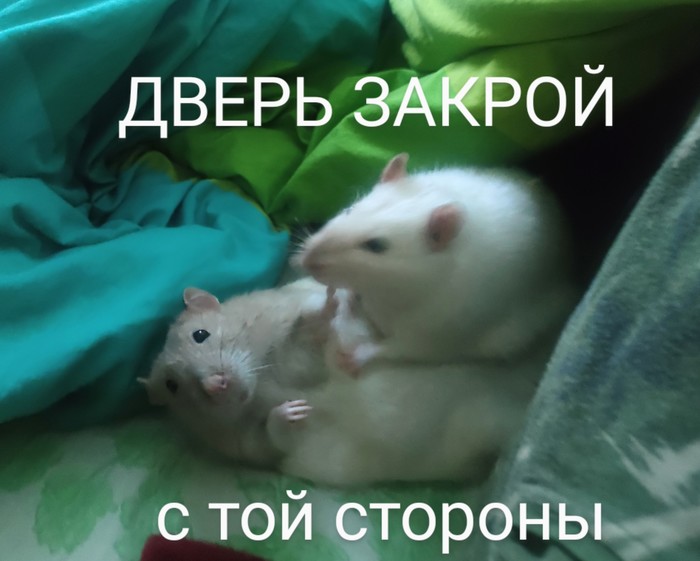    , ,  
