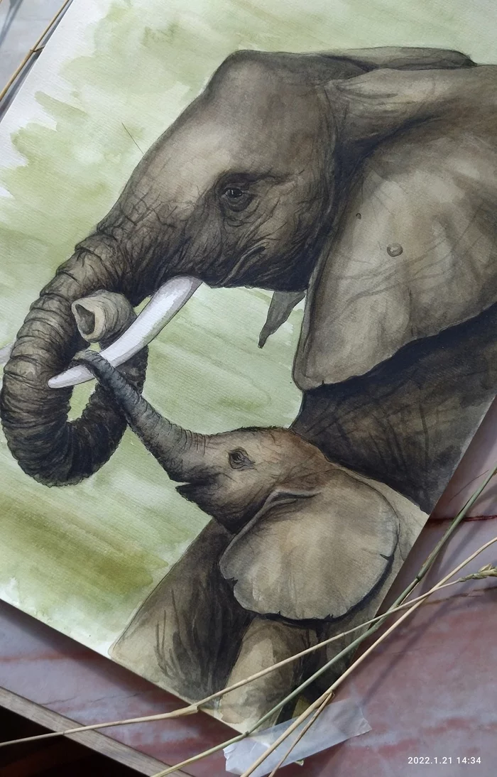 Father and son in watercolor, A3 - My, Watercolor, Drawing, Elephants, Wild animals