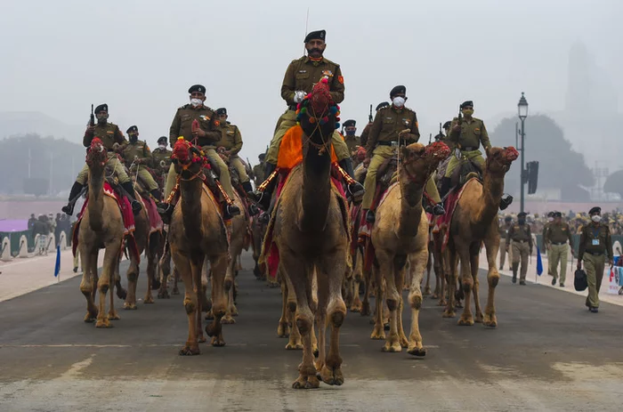 Indian border guards on camels rehearse the parade - Parade, Repetition, Camels, India, Border guards, Republic Day, The photo, Around the world, Pets, Artiodactyls, Longpost