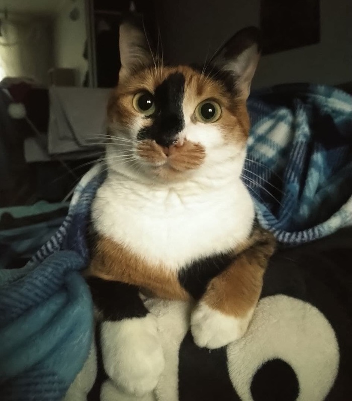         ,  , , , ,  