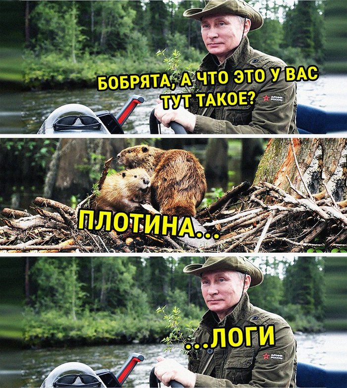   IPO.    , , , ,  , 