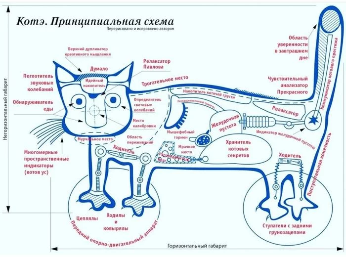 About the device of cats - cat, Humor, Scheme