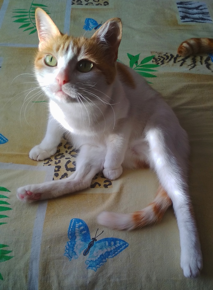 ? ?! ,   , ,  