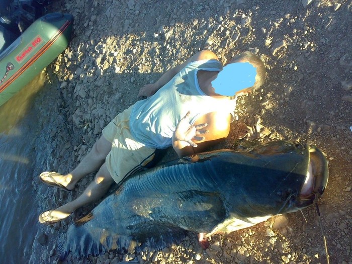 Ответ на пост «Какая у меня рыба, огромная сволочь (С) :)»