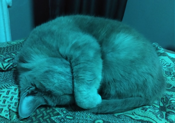 ��������� ����...