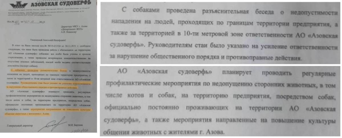 С собаками проведена разъяснительная беседа | Пикабу