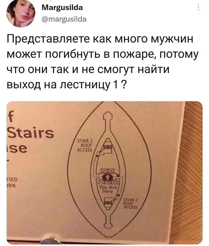 Эякуляционный вход - Twitter, Скриншот, План эвакуации, Эвакуация, Клитор, Юмор, Пожар, Пожарная безопасность, Мужчины, Мужчины и женщины