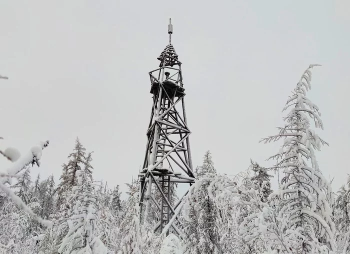 Almost Chb - My, North, Yakutia, Taiga, Winter, Snow, All-terrain vehicle, Geodesy, Far North, Longpost