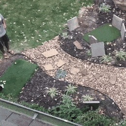   , , , 