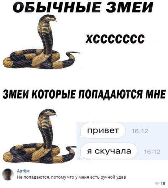 Змея юмор картинки