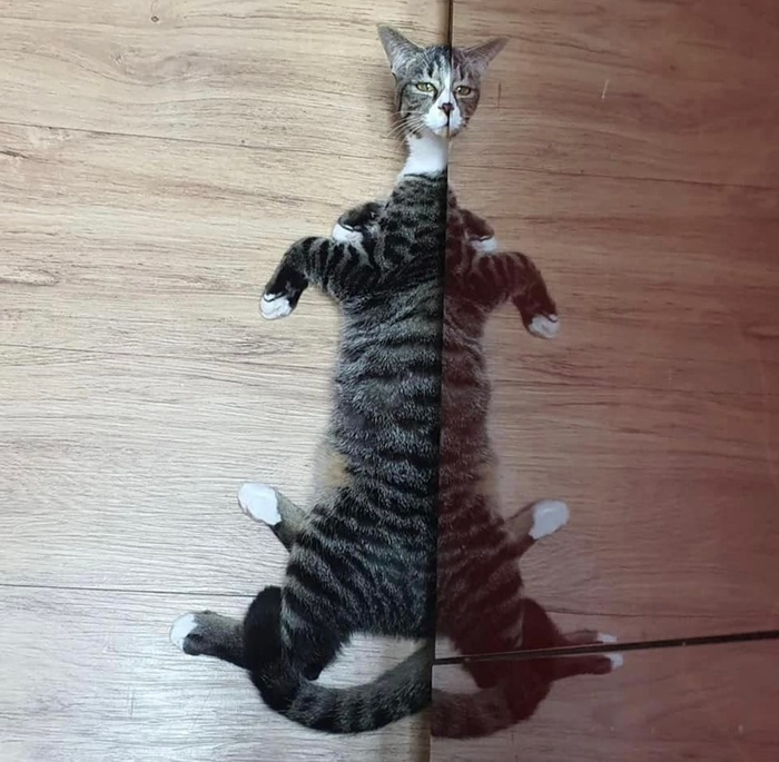 Когда пытаешься эволюционировать,но вдруг познал всю сущность бытия