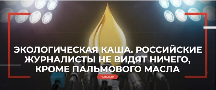 ECOLOGICAL PORRIDGE. RUSSIAN JOURNALISTS SEE NOTHING BUT PALM OIL - My, Ecology, Politics, Law, Business, Right, Duty, Eco-city, Officials, Journalists, Longpost