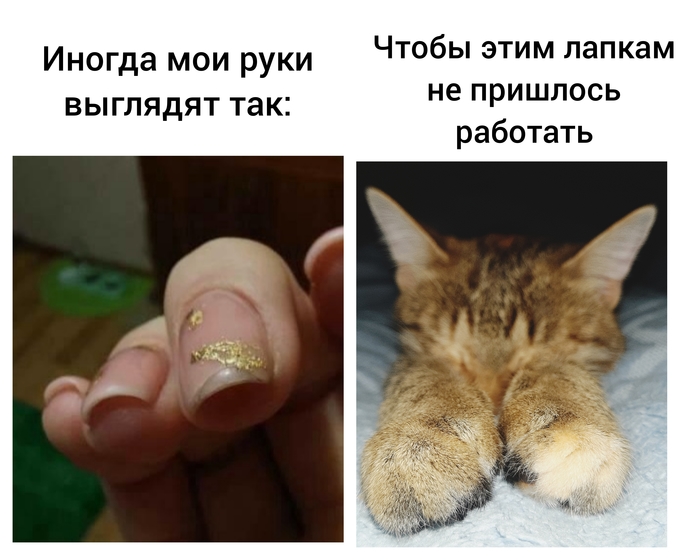 Эти лапки никогда не работали