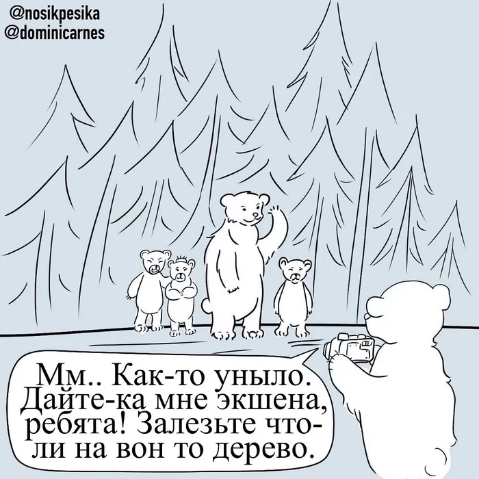 Photo - candy - My, Web comic, Humor, Bears in the forest