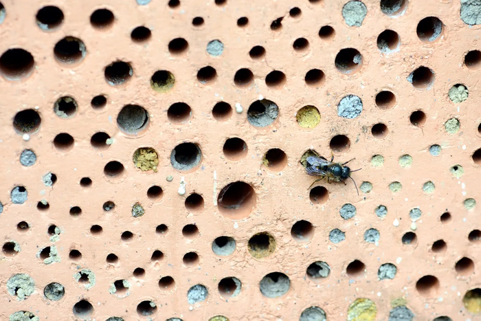 ���� ��� ���� ��� ������������� ����� ����� � ������