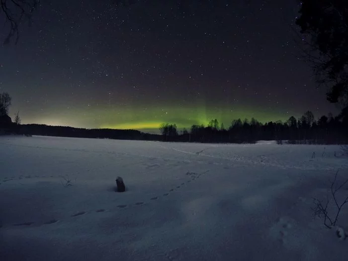 Aurora Borealis in the Leningrad Region - My, The photo, Snow, Polar Lights, Landscape, Winter, Night, Long exposure, Leningrad region