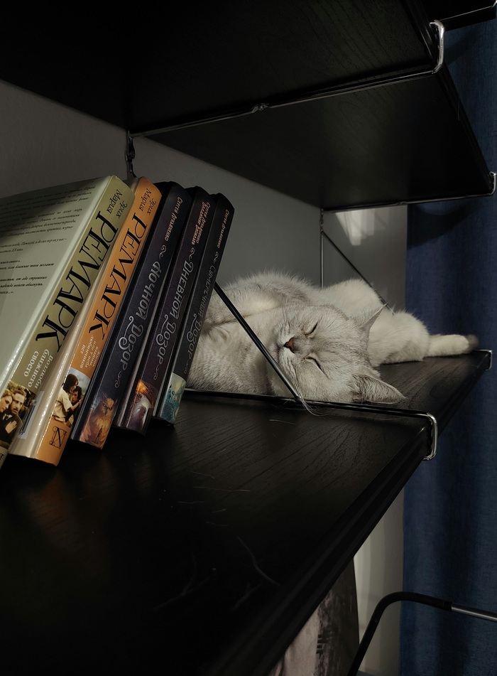 Сон в зимний день