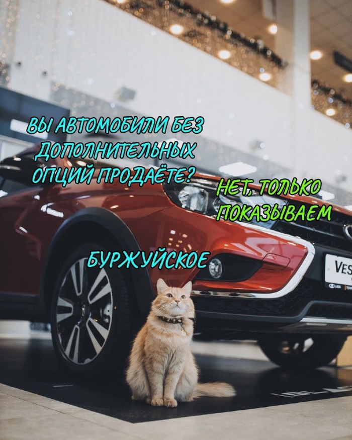 ���, ����������������